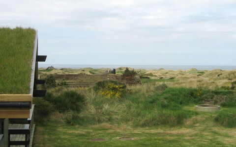 Maini - 600M from the Sea: Gras, Grasland, Vegetation, Ecoregio, Wolk, Plain, Landschap, Land Lot, Plantengemeenschap, Pasture