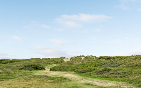 Betti - 300M from the Sea: Gras, Huis, Dak, Huis, Verblijf, Struik, Land Lot, Landelijk Gebied, Boerderij, Groundcover