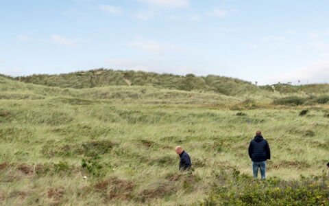 Betti - 300M from the Sea: Gras, Huis, Dak, Huis, Verblijf, Struik, Land Lot, Landelijk Gebied, Boerderij, Groundcover