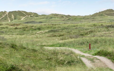Betti - 300M from the Sea: Gras, Huis, Dak, Huis, Verblijf, Struik, Land Lot, Landelijk Gebied, Boerderij, Groundcover