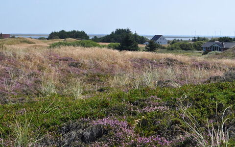 Arli - 800M from the Sea: Verblijf, Schuur, Hut, Boerderij, Prairie, Keet, Schuur, Blokhut, Garden Gebouwen
