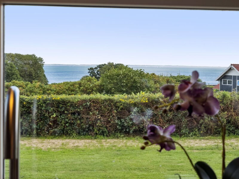 Aarne - 300M from the Sea