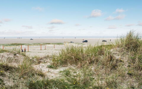 Anedorte - 50M from the Sea: Dak, Huis, Huis, Verblijf, Deur, Siding, Dek, Veranda, Plank, Hardwood