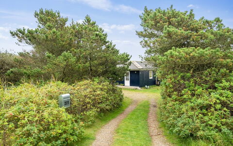 Swana - 550M from the Sea: Plantengemeenschap, Zonlicht, Kruidachtige Plant, Tuin, Plantage, Landbouw, Boerderij