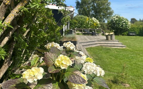 Stygge - 400M from the Sea: Bloem, Struik, Tuin, Petal, Groundcover, Bloeiende Plant, De Lente, Landscaping, Werf, Backyard