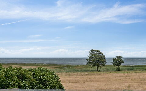 Amely - 500M from the Sea: Lucht, Blauw, Dag, Wolk, Horizon, Gras, Natuurlijk Landschap, Grasland, Ecoregio, Plain