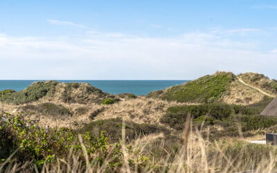 Felis - 200M from the Sea