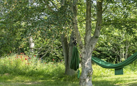 Leevi - 150M from the Sea: Groen, Blad, Trunk, Groundcover, Woody Plant, De Lente, Gazon, Schaduw, Tuin, Bos