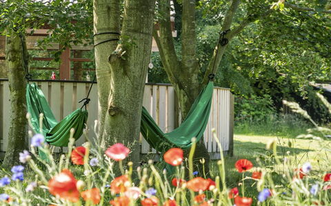 Leevi - 150M from the Sea: Groen, Blad, Zomer, Tuin, Struik, Gazon, De Lente, Groundcover, Trunk
