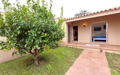 Accommodatie:&nbsp;Ferula 650.2
