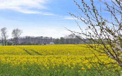 Malfred - 500M from the Sea: Plantengemeenschap, Zonlicht, Kruidachtige Plant, Tuin, Plantage, Landbouw, Boerderij