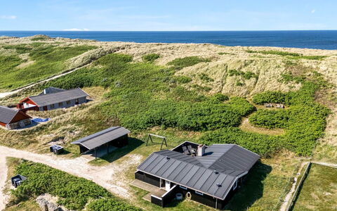 Lill - 50M from the Sea: Plantengemeenschap, Zonlicht, Kruidachtige Plant, Tuin, Plantage, Landbouw, Boerderij