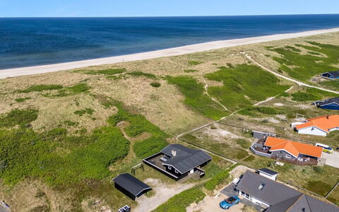 Lill - 50M from the Sea: Plantengemeenschap, Zonlicht, Kruidachtige Plant, Tuin, Plantage, Landbouw, Boerderij