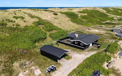 Lill - 50M from the Sea: Plantengemeenschap, Zonlicht, Kruidachtige Plant, Tuin, Plantage, Landbouw, Boerderij