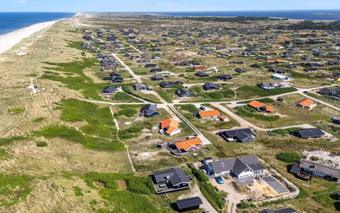 Lill - 50M from the Sea: Plantengemeenschap, Zonlicht, Kruidachtige Plant, Tuin, Plantage, Landbouw, Boerderij