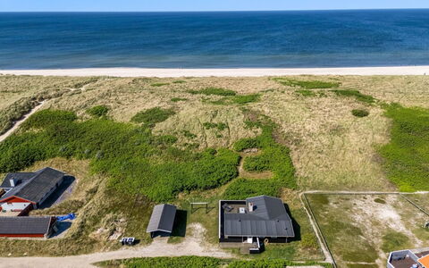 Lill - 50M from the Sea: Plantengemeenschap, Zonlicht, Kruidachtige Plant, Tuin, Plantage, Landbouw, Boerderij