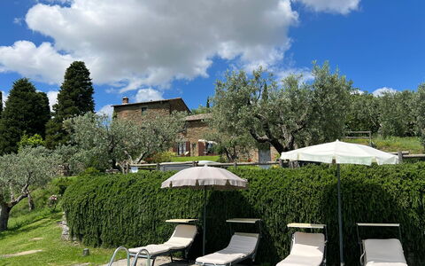 Villa Patrizia: Wolk, Fabriek, Lucht, Plantengemeenschap, Paraplu, Natuur, Boom, Natuurlijk Landschap, Schaduw, Vegetation