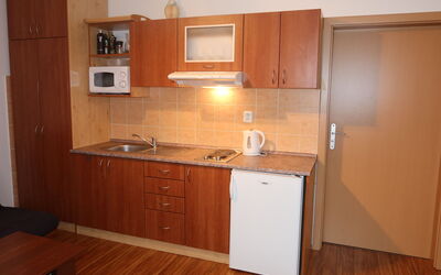Accommodatie:&nbsp;Horní Rokytnice 556.1