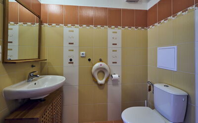 Accommodatie:&nbsp;Horní Rokytnice 556.1