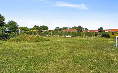 Kjera - 200M from the Sea: Plantengemeenschap, Zonlicht, Kruidachtige Plant, Tuin, Plantage, Landbouw, Boerderij