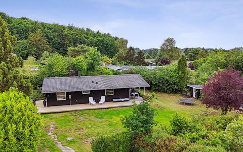 Donco - 600M from the Sea: Vegetation, Struik, De Lente, Verblijf, Tuin, Schaduw, Backyard, Werf, Stoel