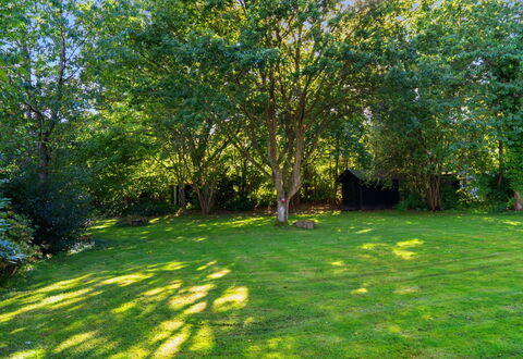 Ljuba - 1.2Km from the Sea: Blad, Boom, Gras, Groen, Struik, Tuin, Gazon, Land Lot, Groundcover
