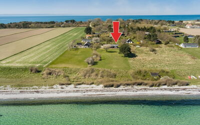 Trajko - 100M from the Sea