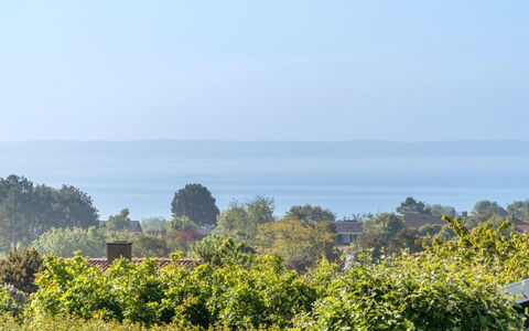 Miona - 725M from the Sea: Plantengemeenschap, Zonlicht, Kruidachtige Plant, Tuin, Plantage, Landbouw, Boerderij