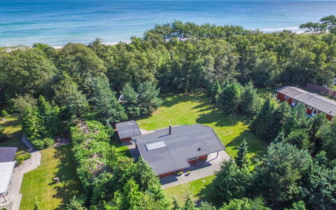 Gulborg - 25M from the Sea: Dak, Huis, Huis, Verblijf, Siding, Landgoed, Oprit, Garden Gebouwen, Werf, Schuur