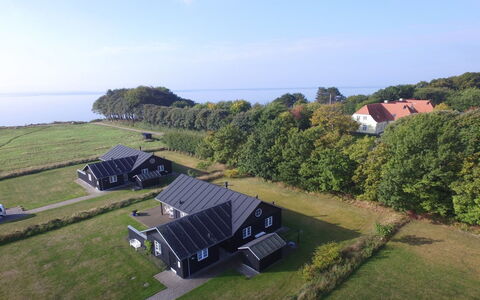 Miika - 100M from the Sea: Plantengemeenschap, Zonlicht, Kruidachtige Plant, Tuin, Plantage, Landbouw, Boerderij
