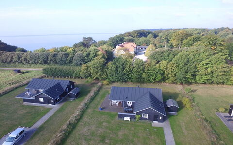 Miika - 100M from the Sea: Plantengemeenschap, Zonlicht, Kruidachtige Plant, Tuin, Plantage, Landbouw, Boerderij