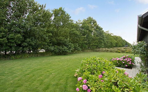 Miika - 100M from the Sea: Plantengemeenschap, Zonlicht, Kruidachtige Plant, Tuin, Plantage, Landbouw, Boerderij