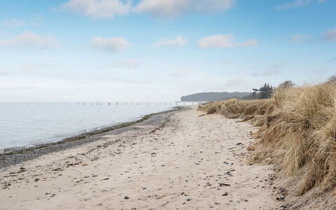 Hattie - 100M from the Sea: Water, Strand, Kust, Horizon, Kust En Oceanic Landvormen, Kust, Zee, Ecoregio, Zand