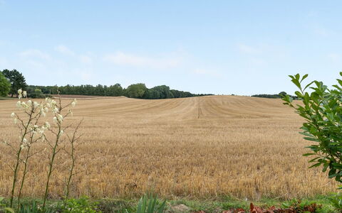 Asya - 600M from the Sea: Blauw, Struik, Verblijf, Groundcover, Tuin, Landgoed, Schaduw, Landscaping, Boerderij, Eco Hotel