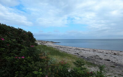Amy - 150M from the Sea