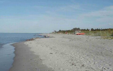 Elbert - 100M from the Sea: Blauw, Struik, Verblijf, Groundcover, Tuin, Landgoed, Schaduw, Landscaping, Boerderij, Eco Hotel