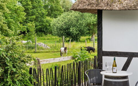 Maileen - 2.1Km to the Fjord: Blauw, Struik, Verblijf, Groundcover, Tuin, Landgoed, Schaduw, Landscaping, Boerderij, Eco Hotel