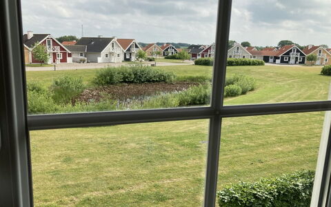 Eike - 250M from the Sea: Plantengemeenschap, Zonlicht, Kruidachtige Plant, Tuin, Plantage, Landbouw, Boerderij