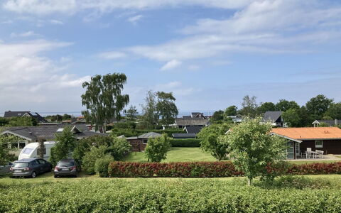 Eike - 250M from the Sea: Plantengemeenschap, Zonlicht, Kruidachtige Plant, Tuin, Plantage, Landbouw, Boerderij