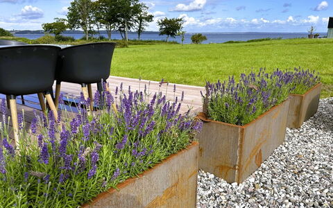 Anny - 100M from the Sea: Gras, Huis, Dak, Huis, Verblijf, Struik, Land Lot, Landelijk Gebied, Boerderij, Groundcover