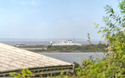 Loi - 200M from the Sea: Plantengemeenschap, Zonlicht, Kruidachtige Plant, Tuin, Plantage, Landbouw, Boerderij
