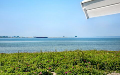 Arnwith - 20M from the Sea: Blauw, Horizon, Zee, Kust En Oceanic Landvormen, Oceaan, Kust, Strand, Kust, Tropen, Geluid
