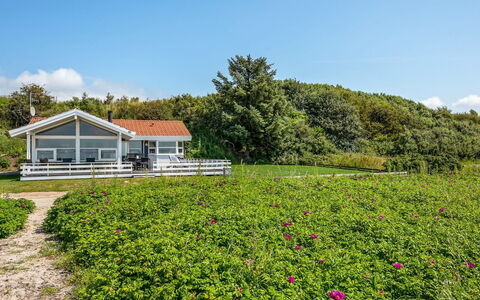 Arnwith - 20M from the Sea: Bloem, Struik, Wolk, Groundcover, De Lente, Verblijf, Tuin, Bloeiende Plant, Weide