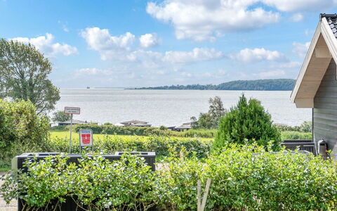 Rathi - 250M from the Sea: Plantengemeenschap, Zonlicht, Kruidachtige Plant, Tuin, Plantage, Landbouw, Boerderij