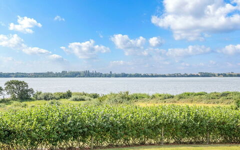 Rathi - 250M from the Sea: Plantengemeenschap, Zonlicht, Kruidachtige Plant, Tuin, Plantage, Landbouw, Boerderij