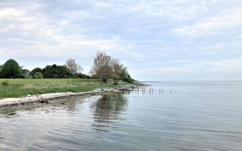 Ilppo - 200M from the Sea: Zwembad, Buitenmeubels, Meubilair, Toevlucht, Flagstone, Eco Hotel, Schaduw, Stoel, Vrije Tijd, Landgoed
