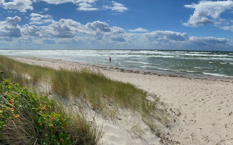 Wiger - 150M from the Sea: Dak, Huis, Huis, Verblijf, Deur, Siding, Dek, Veranda, Plank, Hardwood