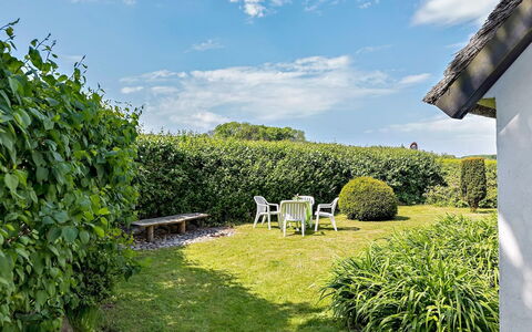 Ajo - 2Km from the Sea: Groen, Gras, Struik, Tuin, Land Lot, Haag, Groundcover, Gazon, Landscaping