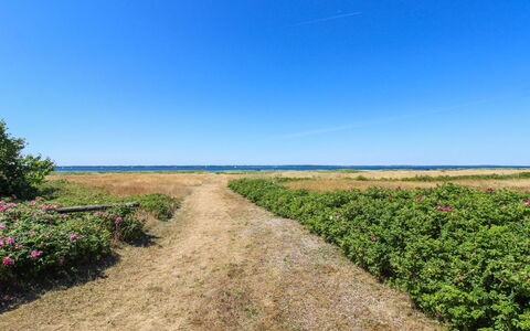 Elisej - 100M from the Sea: Lucht, Blauw, Groen, Vegetation, Natuurlijk Landschap, Horizon, Grasland, Plain, Ecoregio