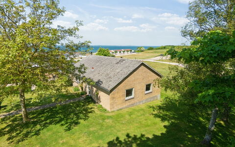 Ambrosius - 75M from the Sea: Plantengemeenschap, Zonlicht, Kruidachtige Plant, Tuin, Plantage, Landbouw, Boerderij